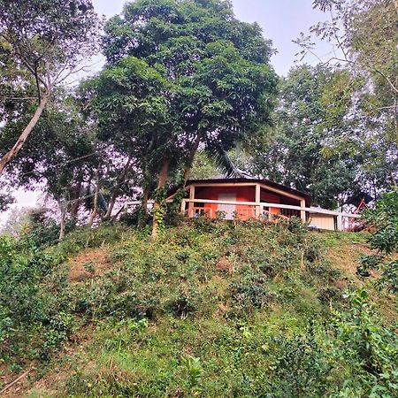 Jungle Cottage Sreemangal Kamer foto